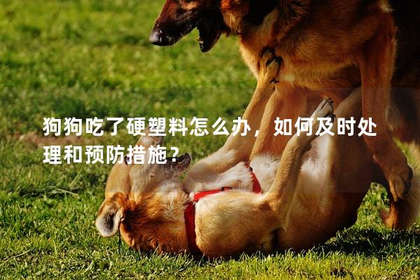 狗狗吃了硬塑料怎么辦，如何及時(shí)處理和預(yù)防措施？
