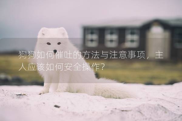 狗狗如何催吐的方法與注意事項，主人應(yīng)該如何安全操作？