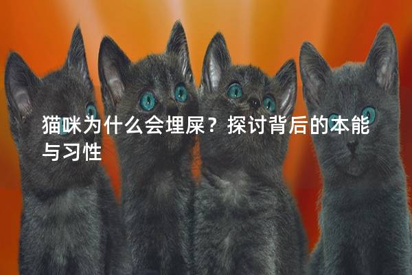 貓咪為什么會(huì)埋屎？探討背后的本能與習(xí)性
