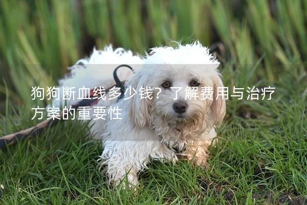 狗狗斷血線多少錢？了解費用與治療方案的重要性