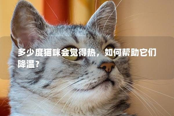 多少度貓咪會覺得熱，如何幫助它們降溫？