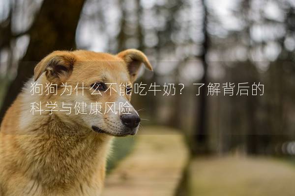 狗狗為什么不能吃牛奶？了解背后的科學與健康風險