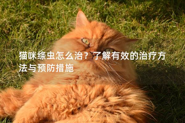 貓咪絳蟲怎么治？了解有效的治療方法與預防措施