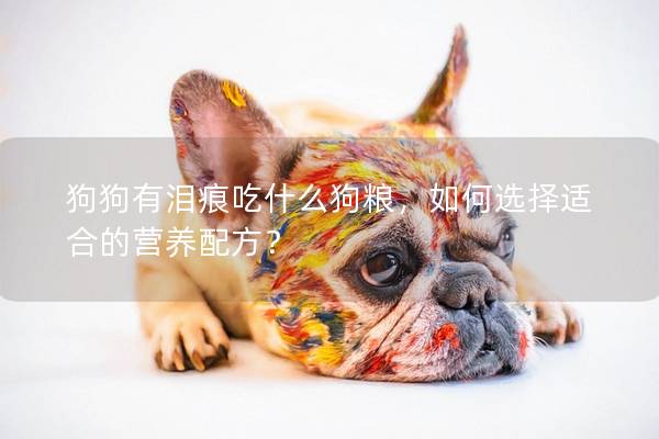狗狗有淚痕吃什么狗糧，如何選擇適合的營(yíng)養(yǎng)配方？