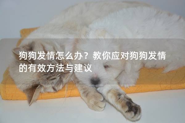 狗狗發(fā)情怎么辦？教你應(yīng)對(duì)狗狗發(fā)情的有效方法與建議