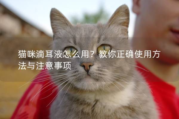 貓咪滴耳液怎么用？教你正確使用方法與注意事項