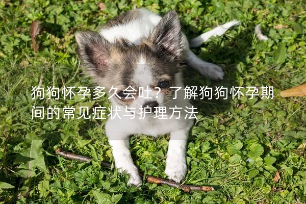 狗狗懷孕多久會(huì)吐？了解狗狗懷孕期間的常見(jiàn)癥狀與護(hù)理方法
