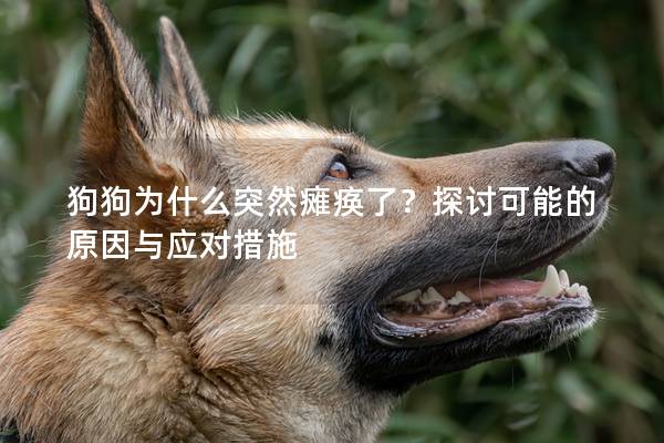狗狗為什么突然癱瘓了？探討可能的原因與應(yīng)對(duì)措施