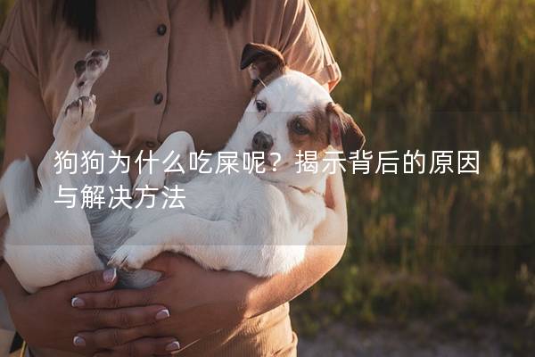 狗狗為什么吃屎呢？揭示背后的原因與解決方法