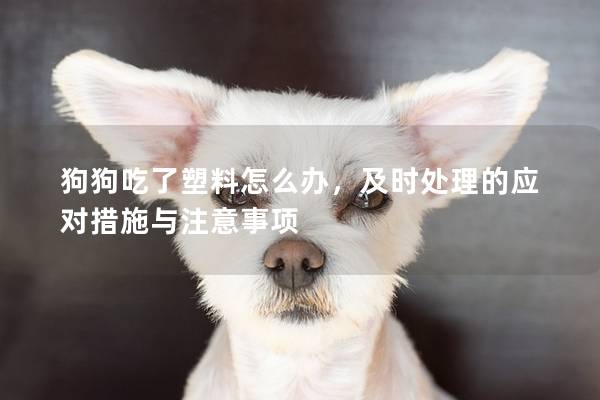 狗狗吃了塑料怎么辦，及時處理的應對措施與注意事項