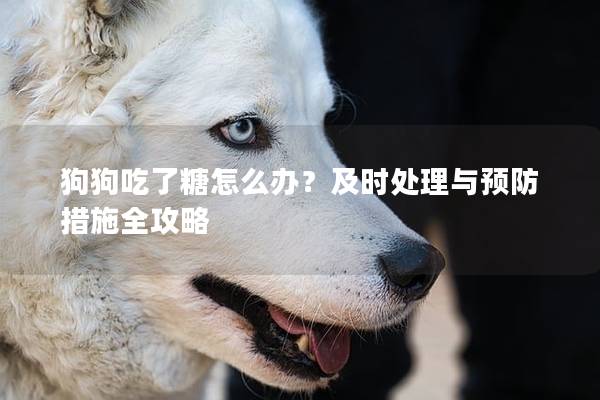 狗狗吃了糖怎么辦？及時處理與預防措施全攻略