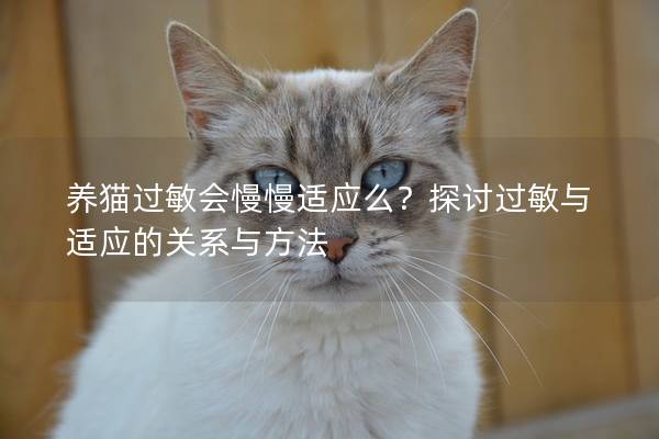 養(yǎng)貓過(guò)敏會(huì)慢慢適應(yīng)么?探討過(guò)敏與適應(yīng)的關(guān)系與方法 養(yǎng)貓過(guò)敏會(huì)慢慢適應(yīng)么?探討過(guò)敏與適應(yīng)的關(guān)系與方法