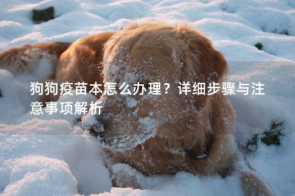 狗狗疫苗本怎么辦理？詳細(xì)步驟與注意事項(xiàng)解析