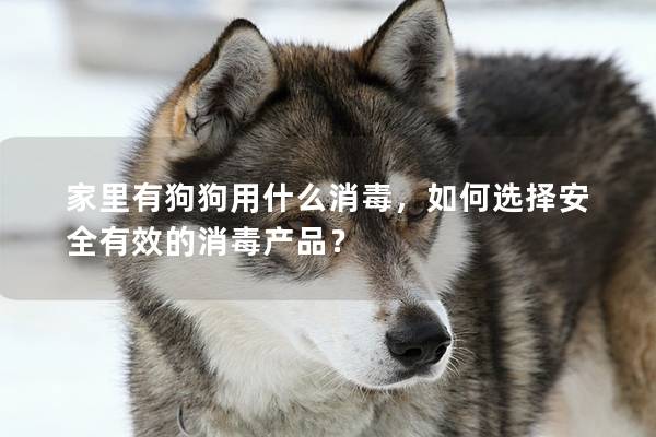家里有狗狗用什么消毒，如何選擇安全有效的消毒產(chǎn)品？