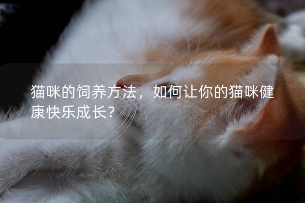 貓咪的飼養(yǎng)方法，如何讓你的貓咪健康快樂(lè)成長(zhǎng)？