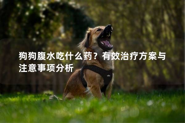狗狗腹水吃什么藥？有效治療方案與注意事項分析