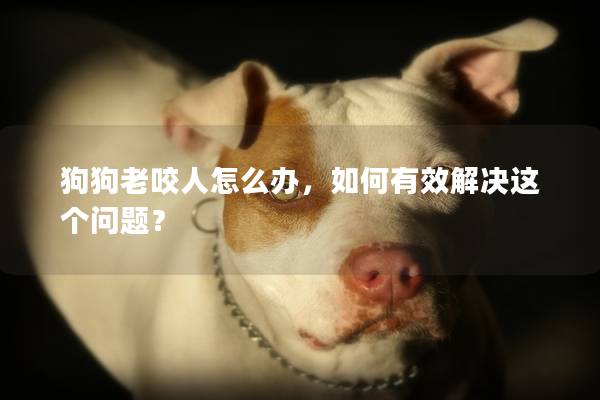 狗狗老咬人怎么辦,如何有效解決這個問題? 狗狗老咬人怎么辦,如何有效解決這個問題?