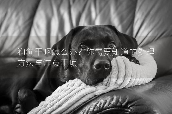 狗狗干嘔怎么辦?你需要知道的處理方法與注意事項(xiàng) 狗狗干嘔怎么辦?你需要知道的處理方法與注意事項(xiàng)