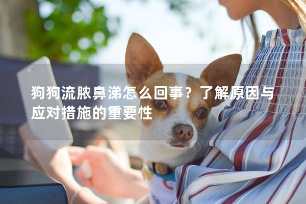 狗狗流膿鼻涕怎么回事？了解原因與應(yīng)對措施的重要性