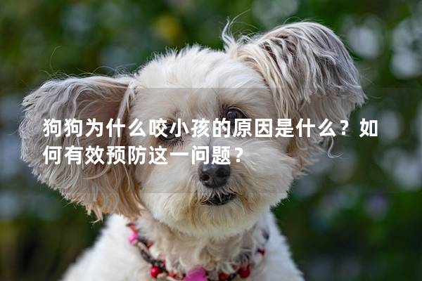 狗狗為什么咬小孩的原因是什么？如何有效預防這一問題？