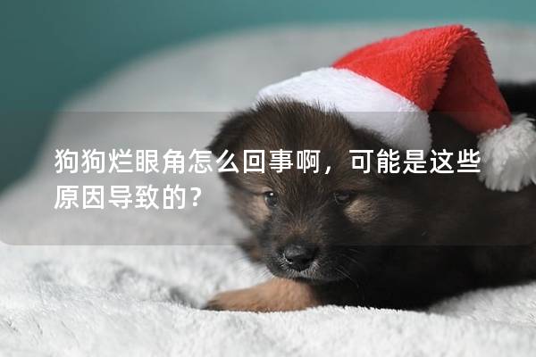 狗狗爛眼角怎么回事啊，可能是這些原因?qū)е碌模?></em><p>狗狗爛眼角怎么回事啊，可能是這些原因?qū)е碌模?/p><span>2025-02-11</span></a></li><li><a title=
