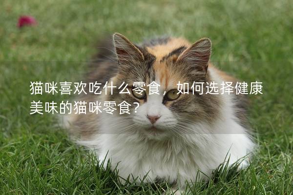 貓咪喜歡吃什么零食，如何選擇健康美味的貓咪零食？