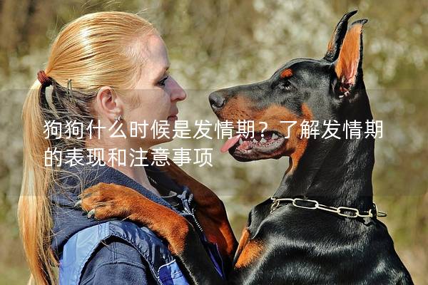狗狗什么時(shí)候是發(fā)情期？了解發(fā)情期的表現(xiàn)和注意事項(xiàng)