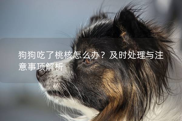 狗狗吃了桃核怎么辦？及時處理與注意事項解析