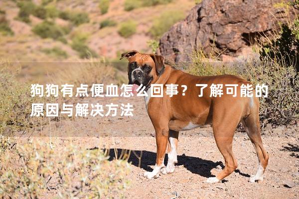 狗狗有點便血怎么回事?了解可能的原因與解決方法 狗狗有點便血怎么回事?了解可能的原因與解決方法