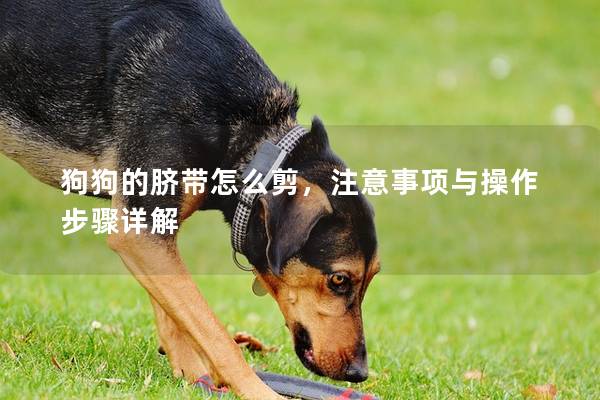 狗狗的臍帶怎么剪，注意事項與操作步驟詳解