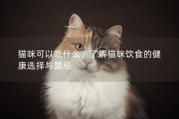 貓咪可以吃什么？了解貓咪飲食的健康選擇與禁忌