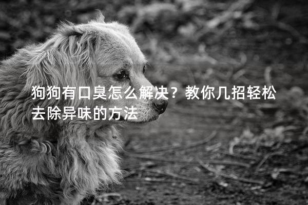 狗狗有口臭怎么解決？教你幾招輕松去除異味的方法