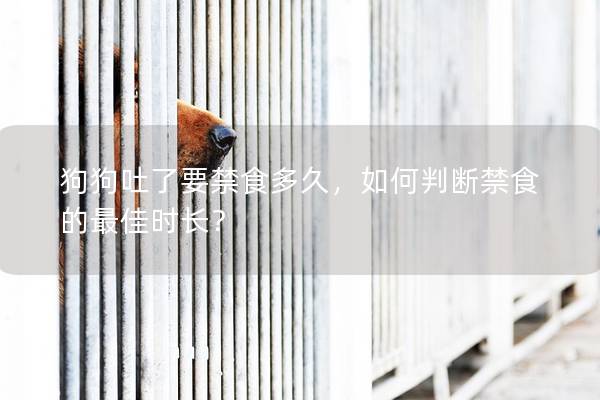 狗狗吐了要禁食多久，如何判斷禁食的最佳時(shí)長？