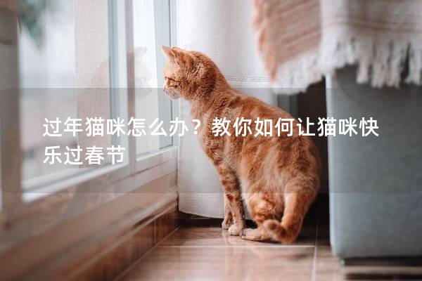 過年貓咪怎么辦？教你如何讓貓咪快樂過春節