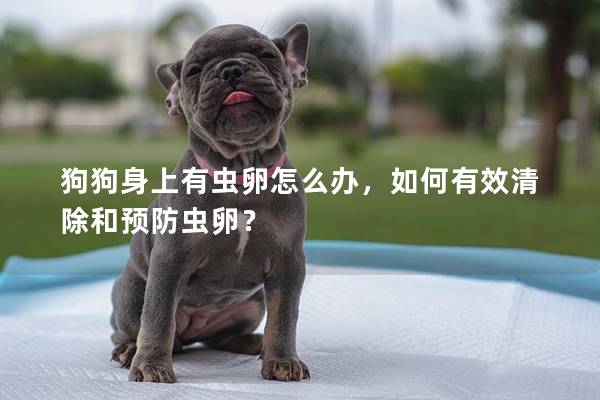 狗狗身上有蟲卵怎么辦，如何有效清除和預(yù)防蟲卵？
