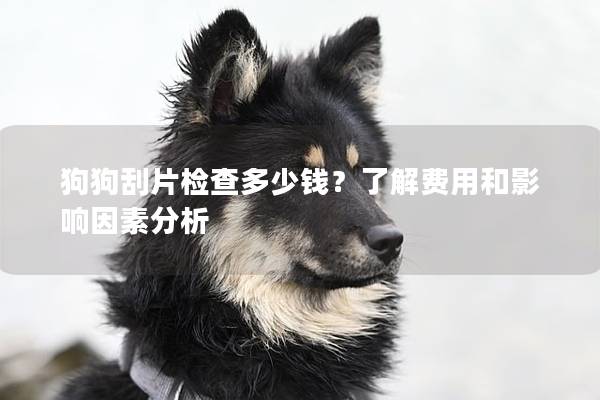 狗狗刮片檢查多少錢？了解費用和影響因素分析
