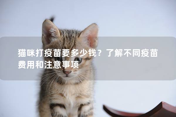 貓咪打疫苗要多少錢？了解不同疫苗費用和注意事項