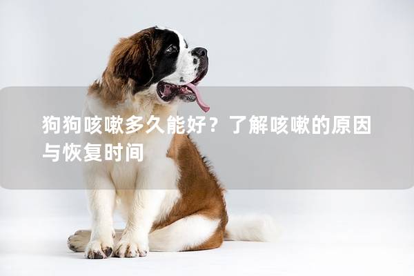 狗狗咳嗽多久能好？了解咳嗽的原因與恢復(fù)時(shí)間