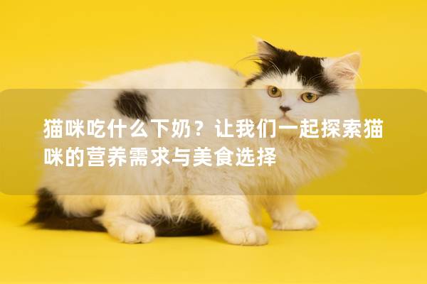 貓咪吃什么下奶？讓我們一起探索貓咪的營養需求與美食選擇