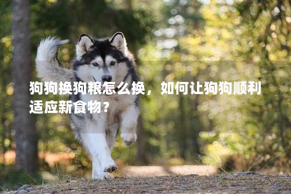 狗狗換狗糧怎么換，如何讓狗狗順利適應新食物？