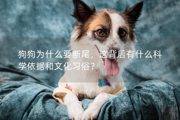 狗狗為什么要斷尾，這背后有什么科學(xué)依據(jù)和文化習(xí)俗？