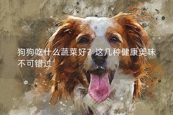狗狗吃什么蔬菜好？這幾種健康美味不可錯過