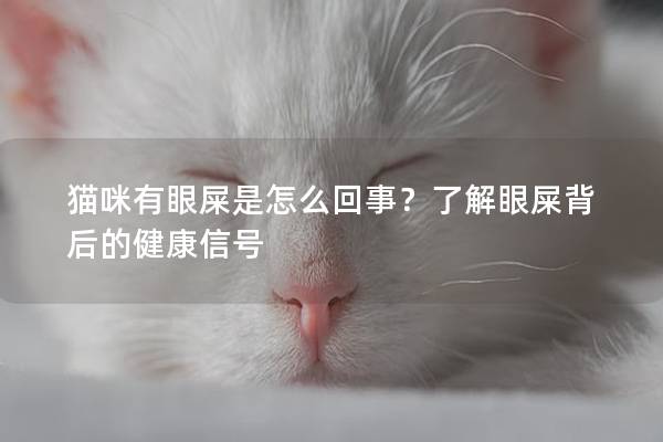 貓咪有眼屎是怎么回事？了解眼屎背后的健康信號