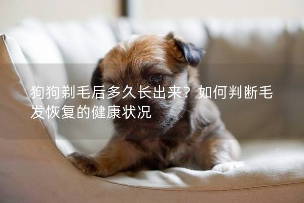 狗狗剃毛后多久長出來？如何判斷毛發(fā)恢復的健康狀況