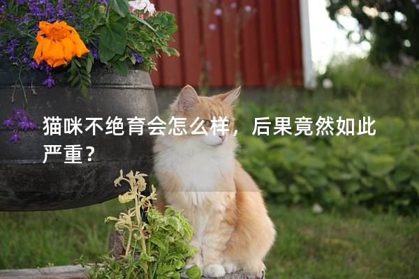 貓咪不絕育會怎么樣，后果竟然如此嚴重？