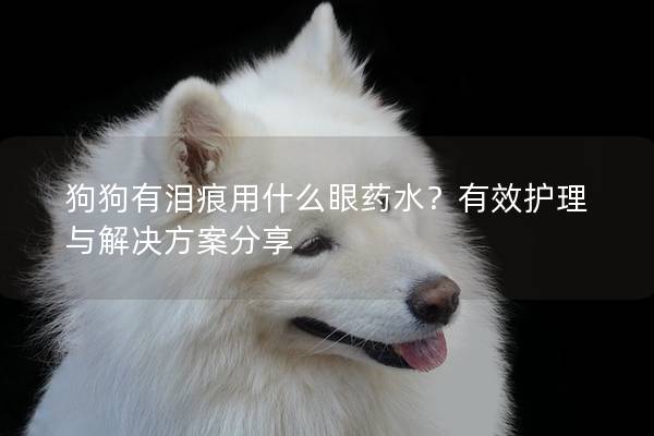 狗狗有淚痕用什么眼藥水？有效護(hù)理與解決方案分享