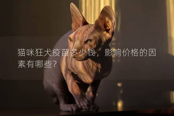 貓咪狂犬疫苗多少錢，影響價格的因素有哪些？