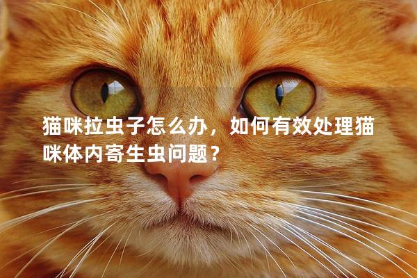 貓咪拉蟲子怎么辦，如何有效處理貓咪體內寄生蟲問題？