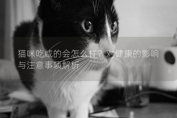 貓咪吃咸的會(huì)怎么樣？對(duì)健康的影響與注意事項(xiàng)解析