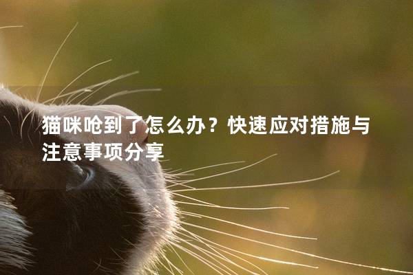 貓咪嗆到了怎么辦？快速應對措施與注意事項分享